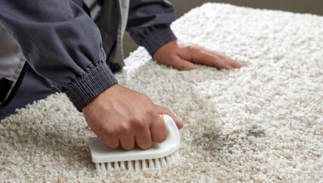 Professional Rug Cleaning Springfield